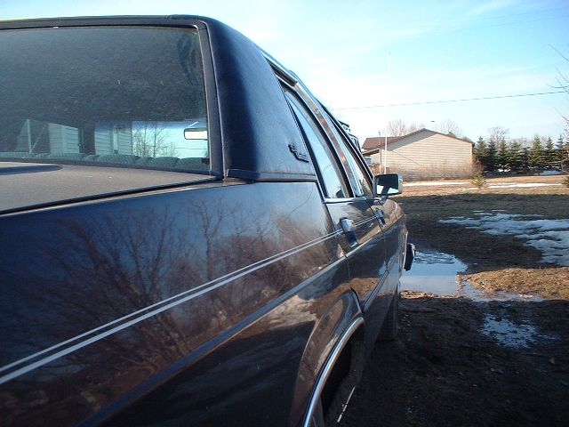 Sighting down the gunwales...21 years old, and the paint still reflects...amazing.