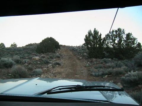 1978 Ford Bronco - Driving up a dusty, off-road trail with scrub brush and trees on either side.