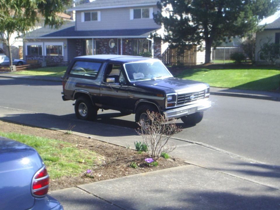 1985 Ford Bronco “scrappy”