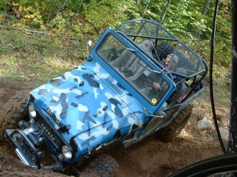 1987 Ford Bronco - Almost blends right in!