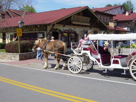 1988 Ford Bronco - A horse pulls a carriage with passengers down a street in front of buildings with red roofs.