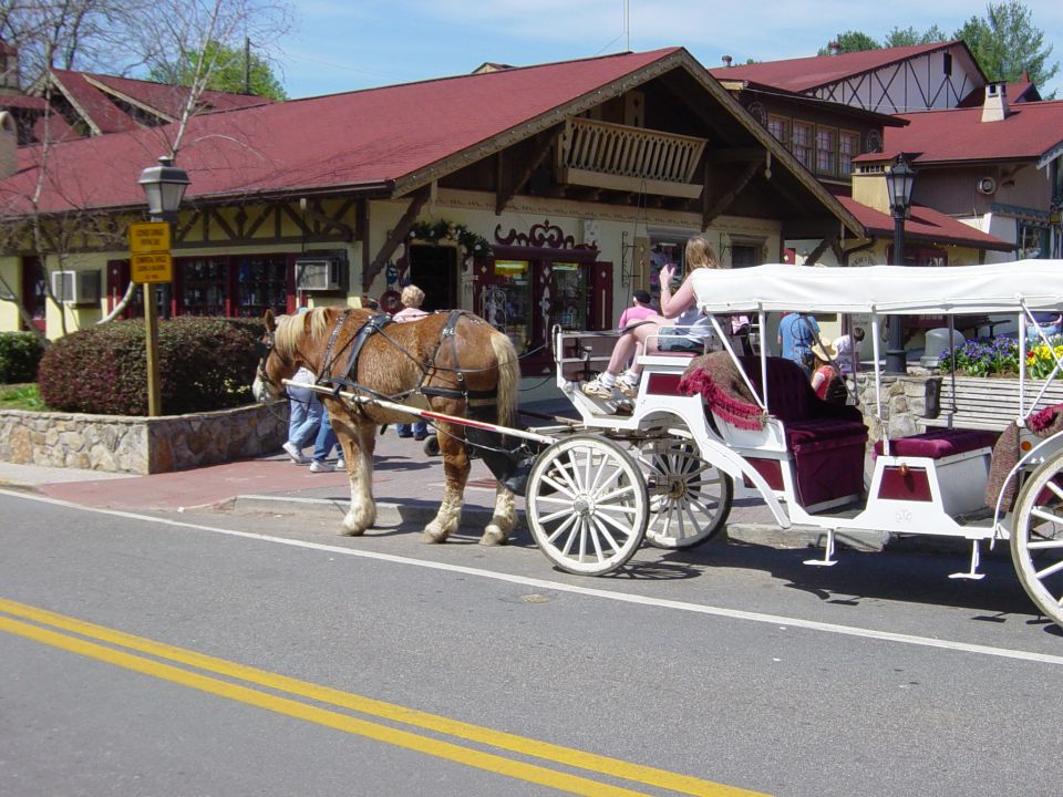 Horse-drawn carriage with white canopy and burgundy seats on a street