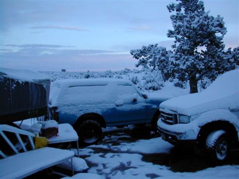1981 Ford Bronco - What we woke up to Saturday Morning
