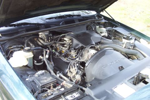 1996 Ford Crown Victoria - The engine bay of a green Ford Crown Victoria, showing the V8 engine and associated components.