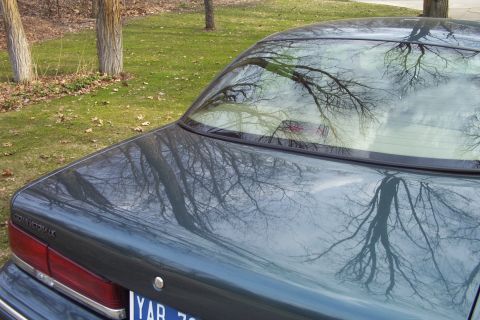 1996 Ford Crown Victoria - Rear view of a 1996 Ford Crown Victoria, showing the trunk and taillight.