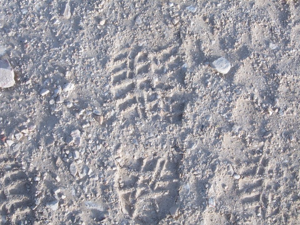 Shoe print in sandy dirt with small pebbles. The tread pattern is clearly visible