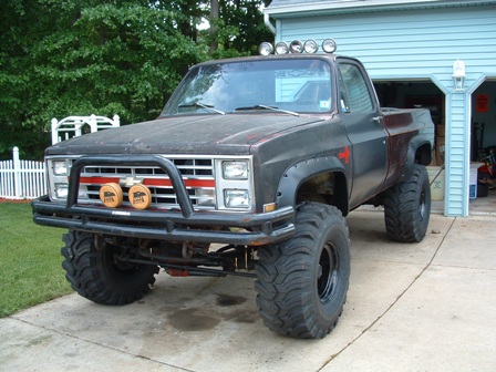 1978 Chevrolet C/K Pickup - Bushwacker Cutouts installed