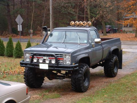 1978 Chevrolet C/K Pickup - took truck out