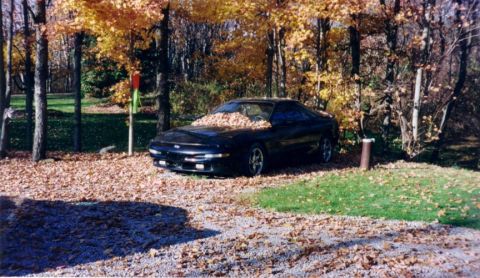 1993 Ford Probe photo