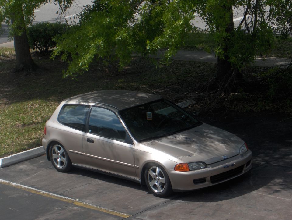 Gold Honda Civic hatchback parked under a tree, 3/4 front view on silver alloy wheels