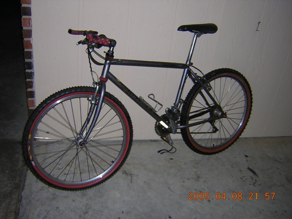 Gray mountain bike with red rims and knobby tires, parked indoors