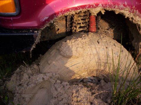 1995 Ford Bronco - driver's side front