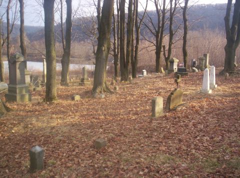 1995 Ford Bronco - A quiet cemetery scene with gravestones scattered among fallen leaves and trees.