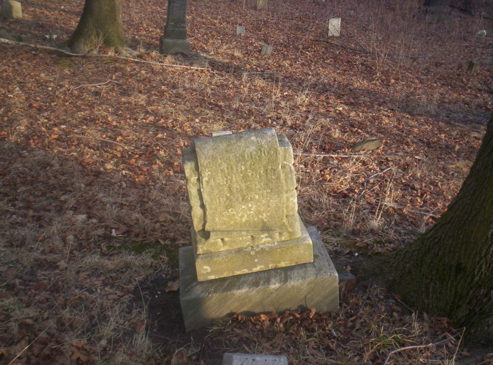 Gravestones in a cemetery with fallen leaves on the ground and trees in the background