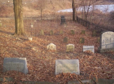 1995 Ford Bronco - A cemetery scene with gravestones scattered among fallen leaves under a tree.