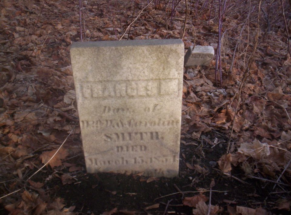 Gravestone in a wooded area with fallen leaves. Text is partially visible