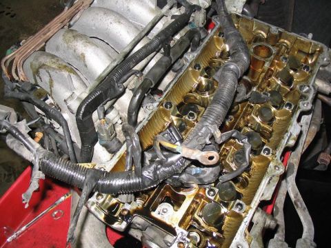 1993 Ford Probe - Close-up view of an engine's internal components after valve cover removal.
