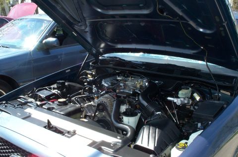 1998 Ford Crown Victoria - My just-detailed engine bay.