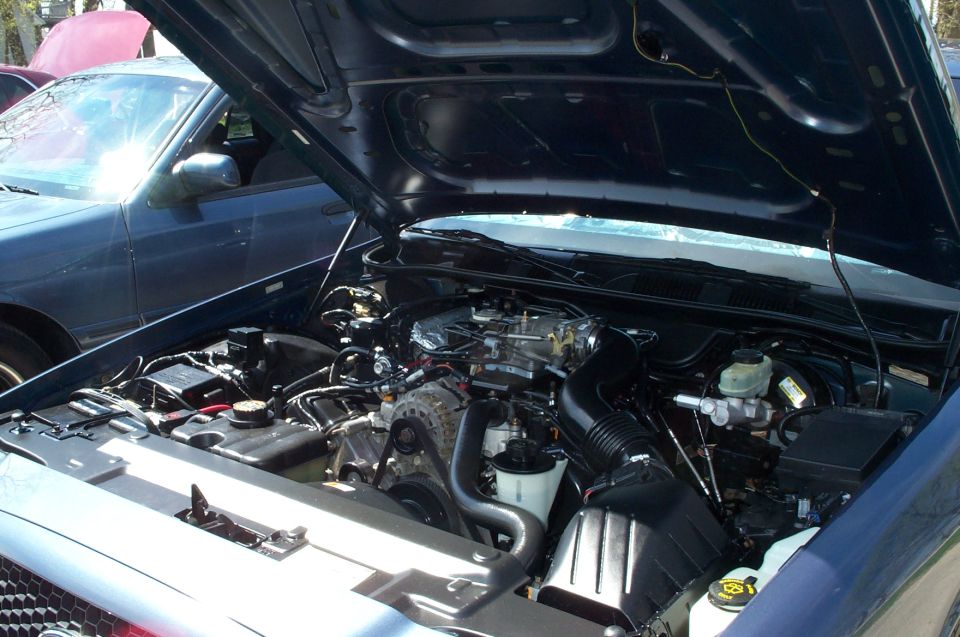 My just-detailed engine bay.