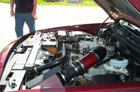 1998 Ford Crown Victoria - The Marauder's engine bay. Note the custom intake.
