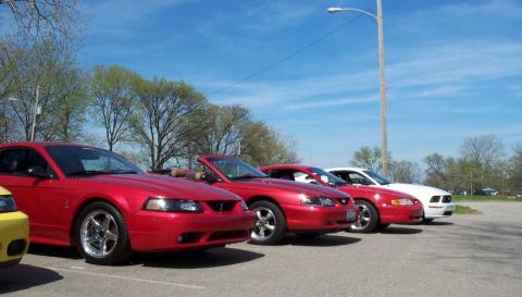 1998 Ford Crown Victoria - Several red Ford Mustangs are parked in a lot under a blue sky.