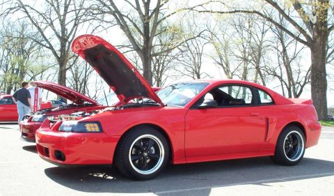 1998 Ford Crown Victoria - A red 1999 Ford Mustang coupe is displayed with its hood open at a car meet.