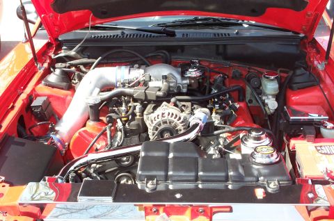1998 Ford Crown Victoria - Engine bay of a red vehicle, showing various mechanical parts and systems.