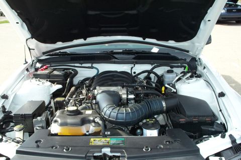 1998 Ford Crown Victoria - Engine bay of a white car, with the hood open, revealing the V8 engine and a watermark.