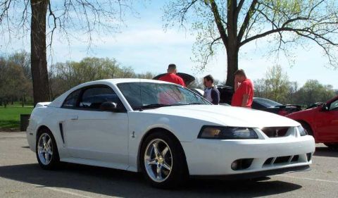 1998 Ford Crown Victoria - White Ford Mustang coupe with chrome wheels at an outdoor car meet.