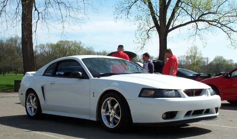 White New Edge Ford Mustang with Cobra grille emblem and chrome wheels at an outdoor meet