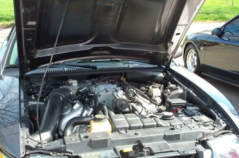 1998 Ford Crown Victoria - The engine compartment of a 1998 Ford Mustang GT is open, showing the V8 engine and other components.