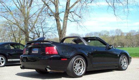 1998 Ford Crown Victoria - Two black Mustangs, a convertible and a coupe, parked outdoors on a sunny day.