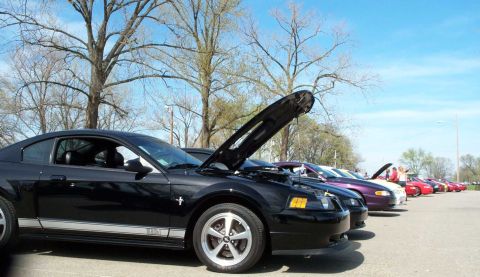 1998 Ford Crown Victoria - Several Ford Mustangs are lined up with their hoods open at a car meet.