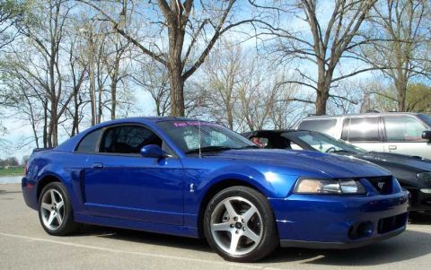 1998 Ford Crown Victoria - A blue Ford Mustang is parked in a lot with other vehicles under a canopy of trees.