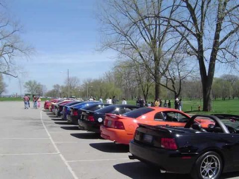 1998 Ford Crown Victoria - A line of Ford Mustangs are parked in a lot on a sunny day.