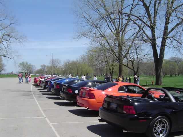 Row of parked Mustangs including black convertible and orange coupe at a park car show