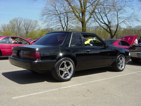 1998 Ford Crown Victoria - A black Ford Mustang is parked in a lot with other vehicles visible in the background.