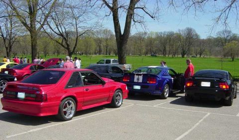 1998 Ford Crown Victoria - Multiple Ford Mustangs are gathered at an outdoor event.