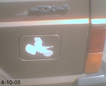 1988 Jeep Cherokee - Flying turkey decal on the filler door.