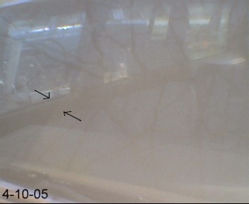 1988 Jeep Cherokee - Washed it yesterday...damn pollen.