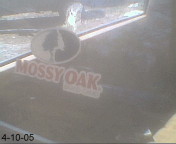 1988 Jeep Cherokee - Mossy Oak Decal