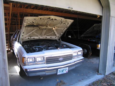 1991 Ford LTD Crown Victoria - Two Ford Crown Victorias, one white and one black, are parked in a garage with their hoods open.