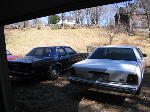 1991 Ford LTD Crown Victoria - Two sedans, a white 1991 Ford Crown Victoria LTD and a black sedan, are parked in a yard with a house and barn in the background.
