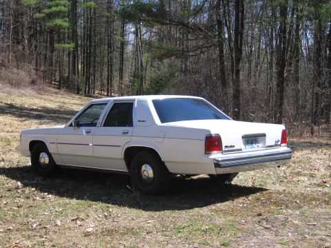 1991 Ford LTD Crown Victoria - Rear view of a white 1990 Ford Crown Victoria LTD parked outdoors in a grassy, wooded area.