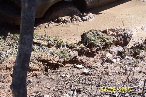 1979 Ford Bronco - An off-road vehicle is stuck in thick mud, with only a portion of its side and tire visible.