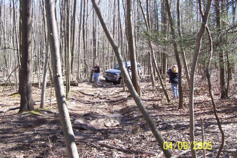 1979 Ford Bronco - A dark blue SUV navigates a muddy path through a dense forest with two people observing.
