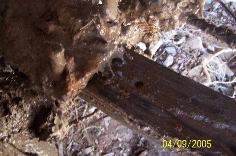 1979 Ford Bronco - A close-up view of muddy ground with debris and a wooden beam, dated 04/09/2005.
