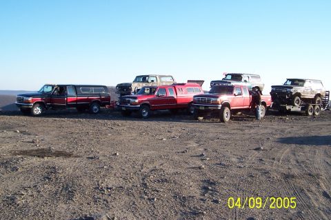 1979 Ford Bronco - A collection of Ford trucks and SUVs are parked on a dusty, outdoor lot.
