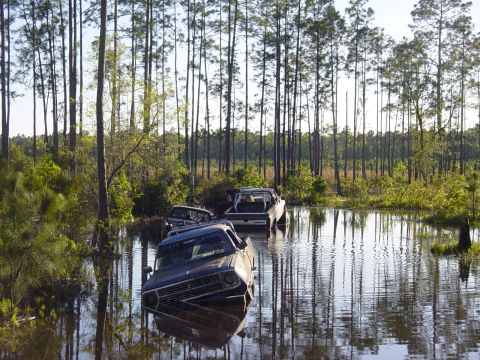 1989 Ford Bronco - Multiple trucks are stuck in floodwater, surrounded by trees and vegetation.