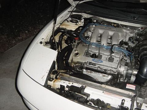 1993 Ford Probe - The engine bay of a 1993 Ford Probe shows the Ford branding on the valve cover and various engine components.